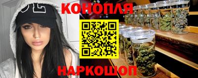 прущие грибы Бердск