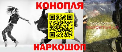 прущие грибы Бердск