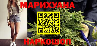 прущие грибы Бердск