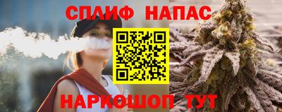 прущие грибы Бердск