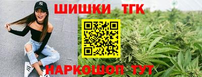 прущие грибы Бердск