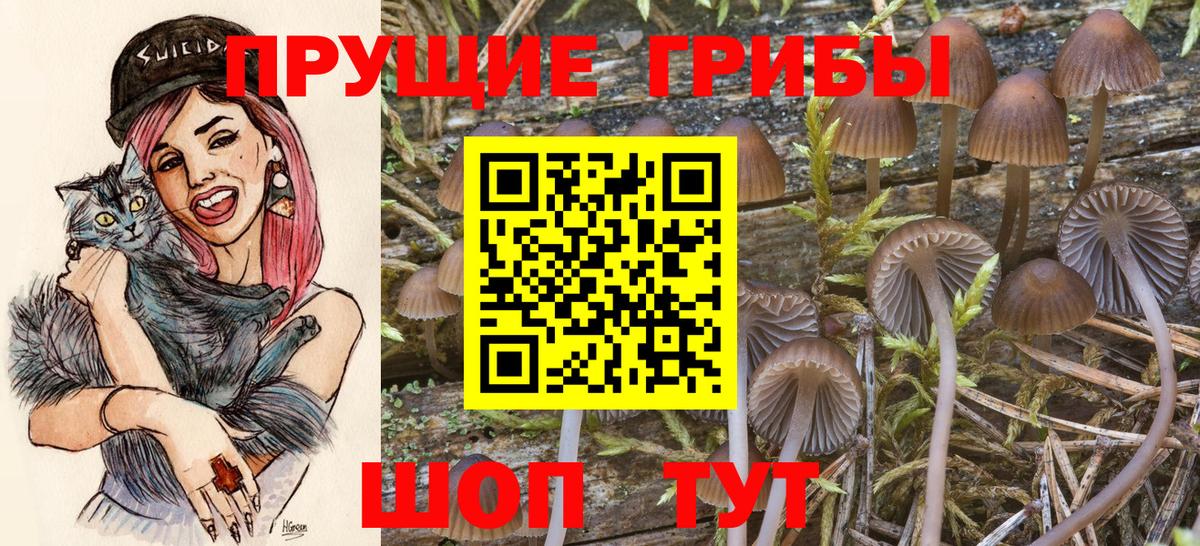 Октябрьский  Галлюциногенные грибы мицелий  Вход с VPN  Псилоцибиновые грибы ЛСД 
